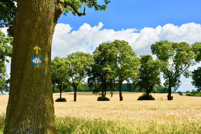 Vacances en France : Camping et Mobil-Home en famille