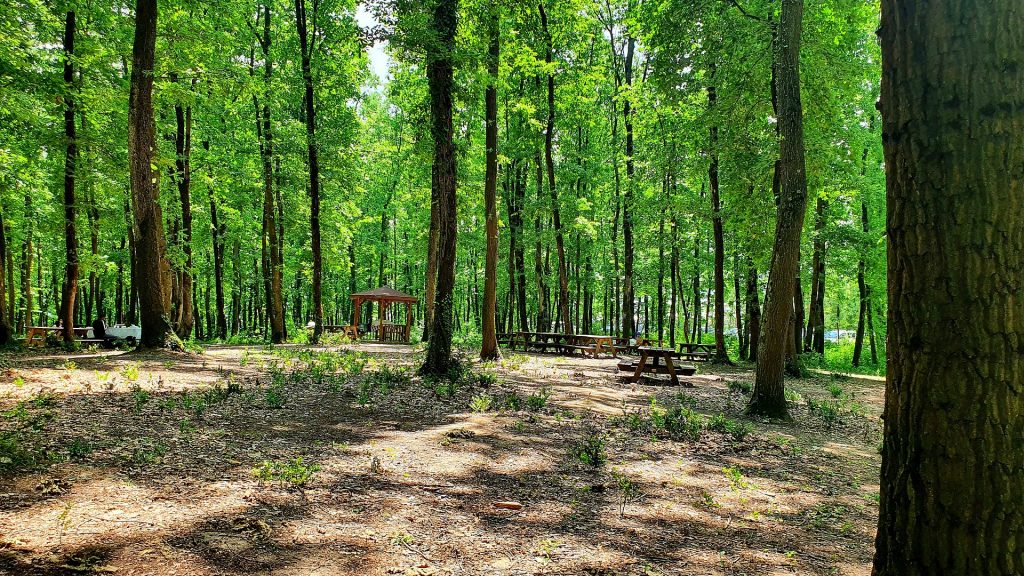 aire de pique nique le bois des lutins