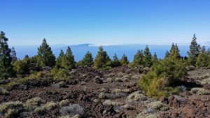 L'ile de Tenerife aux Canaries