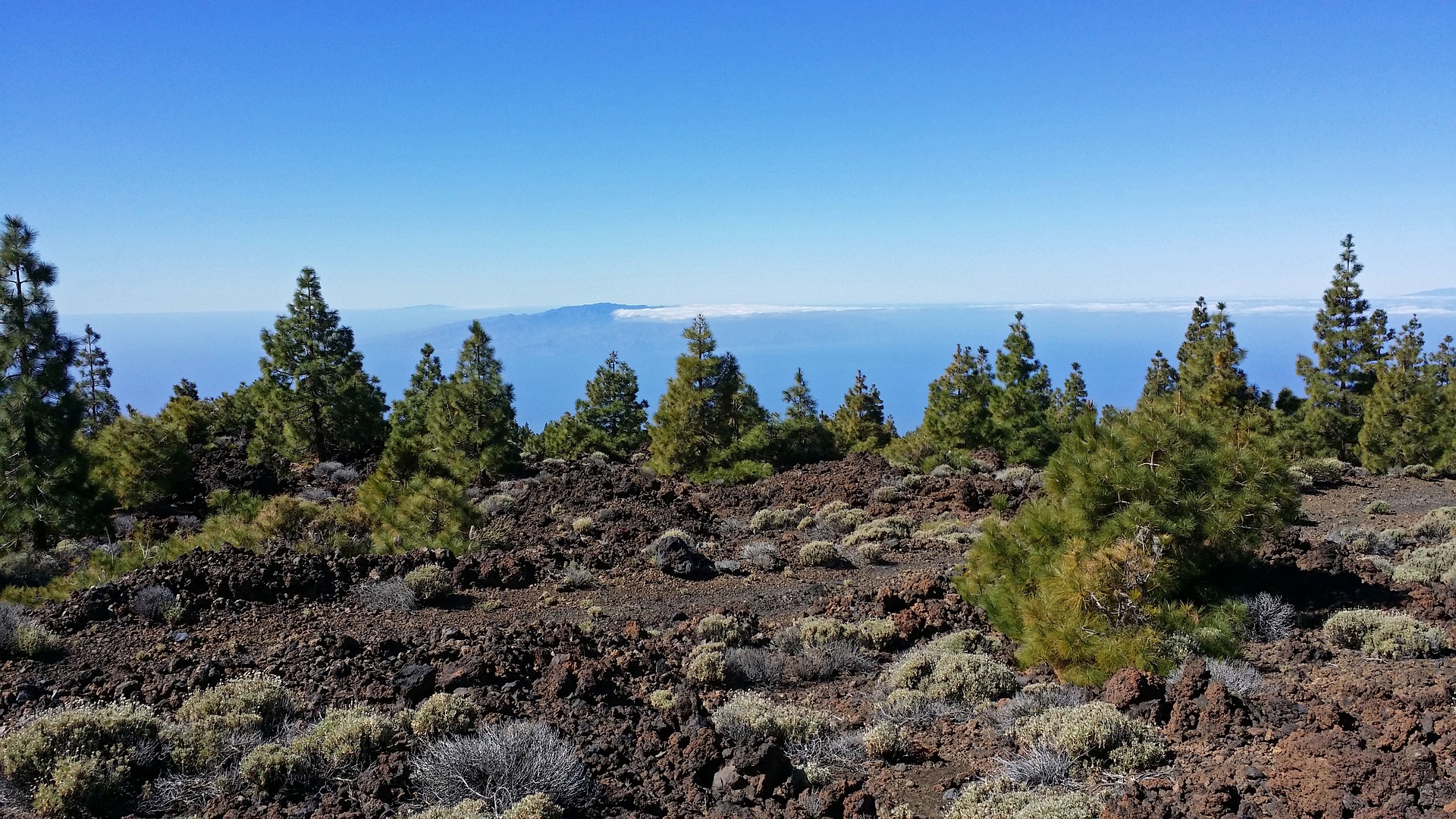 Saison Tenerife