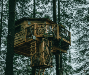 Tout savoir sur les séjours dans les arbres