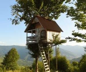 Week end atypiques dans les arbres