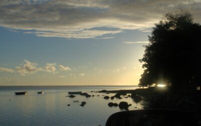 A quelle période de l’année partir en Jamaïque ?