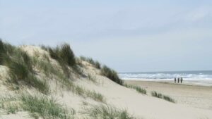 Dune plage Belgique