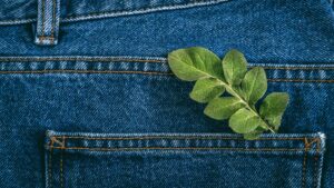 jean avec une feuille dans la poche