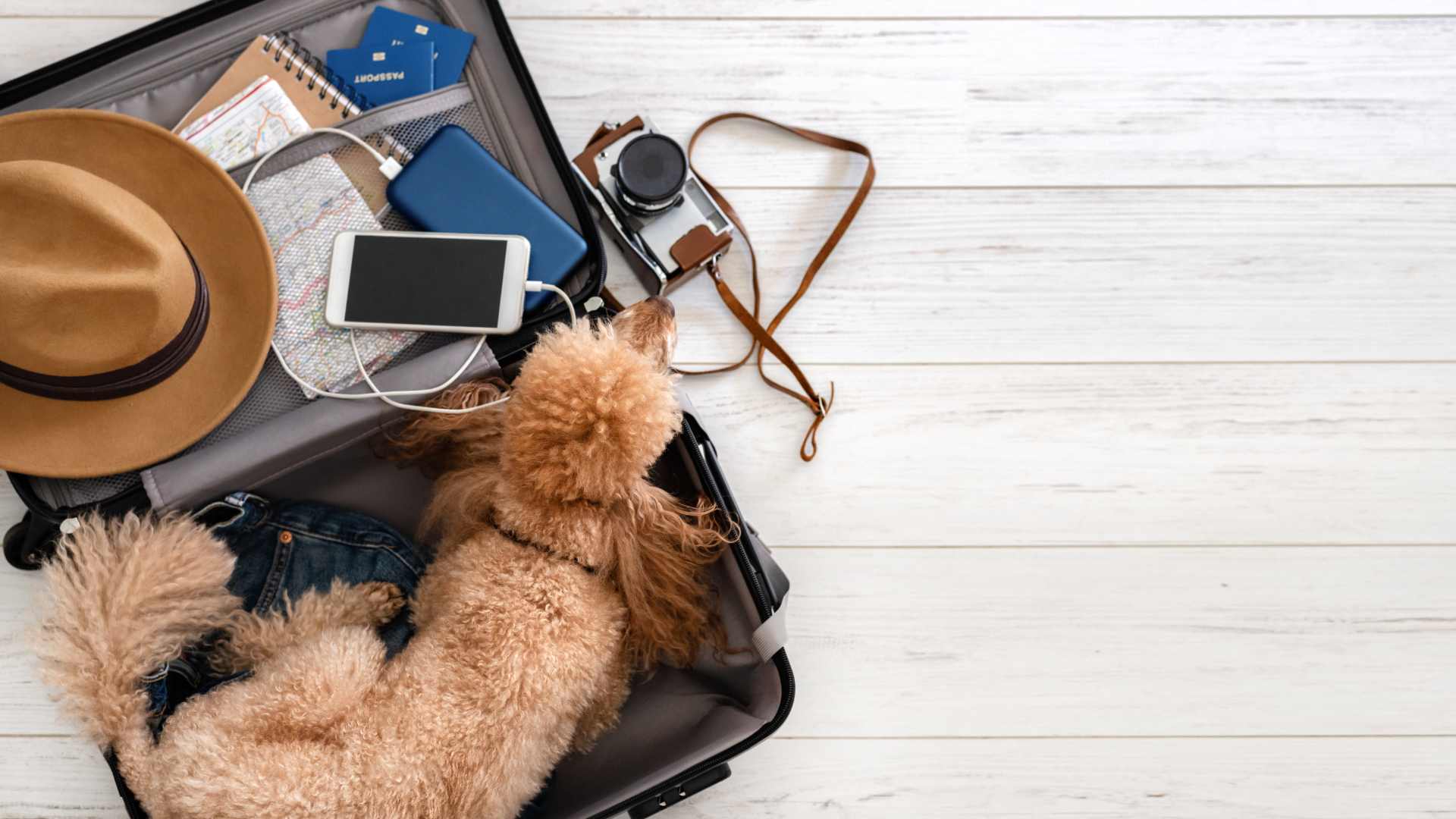 Valise pleine de vêtement