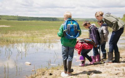 Intégrer le voyage dans les programmes scolaires.