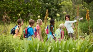 voyage en pleine nature