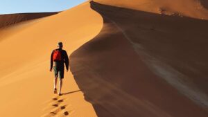 voyage dans le desert