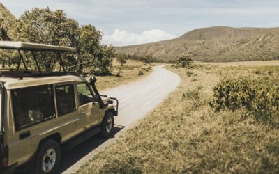 Comment organiser facilement son safari au Kenya ?