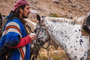argentine gaucho